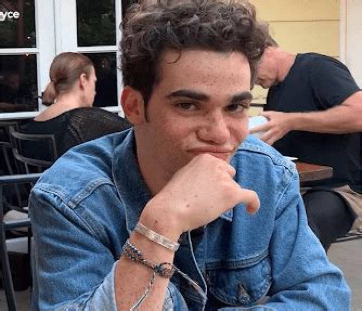 Was Cameron Boyce Gay or Bi? What Was Boyce’s Sexuality?
